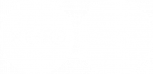 platinum-partner-logo