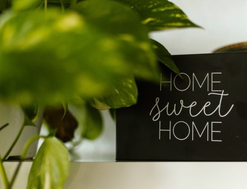 Healthy Homes Standards: What Landlords Need to Know in 2025