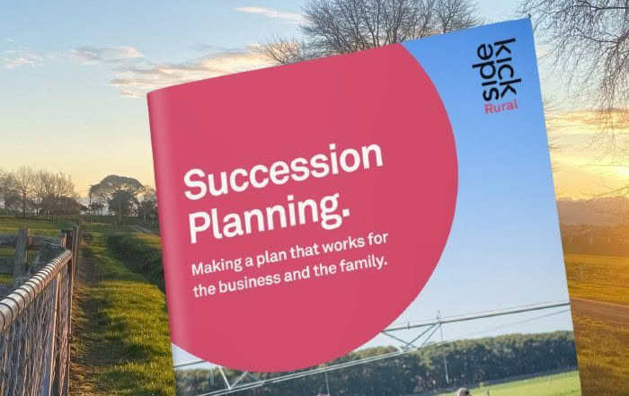 Farm succession planning guide help up at golden hour on a Wairarapa farm